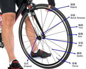 自行车零件大图解 中英文对照，你认识多少？