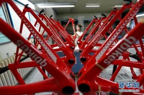 河北唐山 打造自行车零部件产业基地 赋能自行车及零配件零售新格局